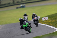 Lower Group Green Bikes